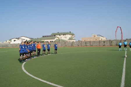          2013 .
